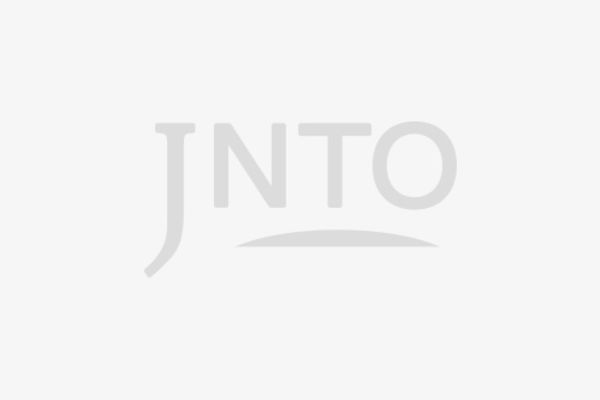 JNTO Logo